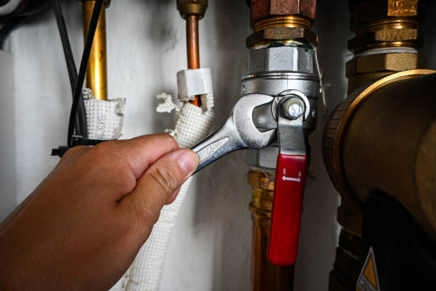 Best Plumbing Inspection Services  in Austin, MN